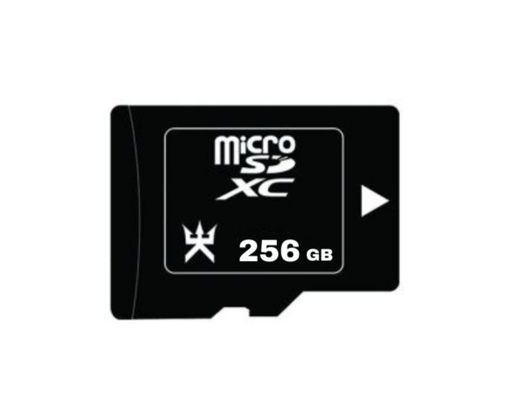 Carte Micro SD 256GB